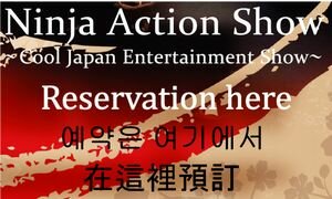Ninja Action Show